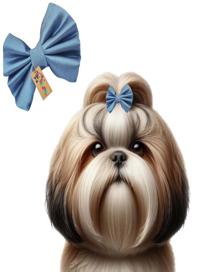 ويستيرن إرا مشبك شعر للكلاب بتصميم مستوحى من العصر الغربي | إكسسوار أنيق للحيوانات الأليفة | ناعم ومريح | مناسب للكلاب الصغيرة والمتوسطة والكبيرة | تصميم عصري ومتين للعناية بالحيوانات الأليفة، وجلسات التصوير، والحفلات (أزرق فاتح) - Image 1